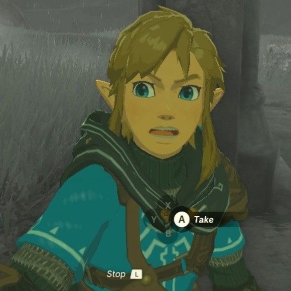 linkzoink